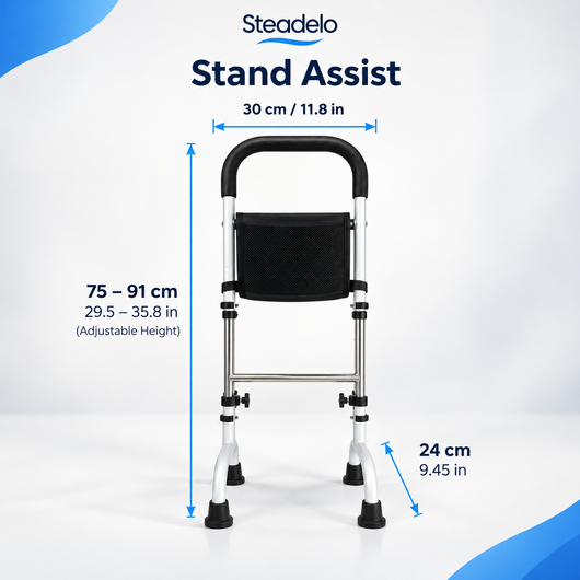 Stand Assist